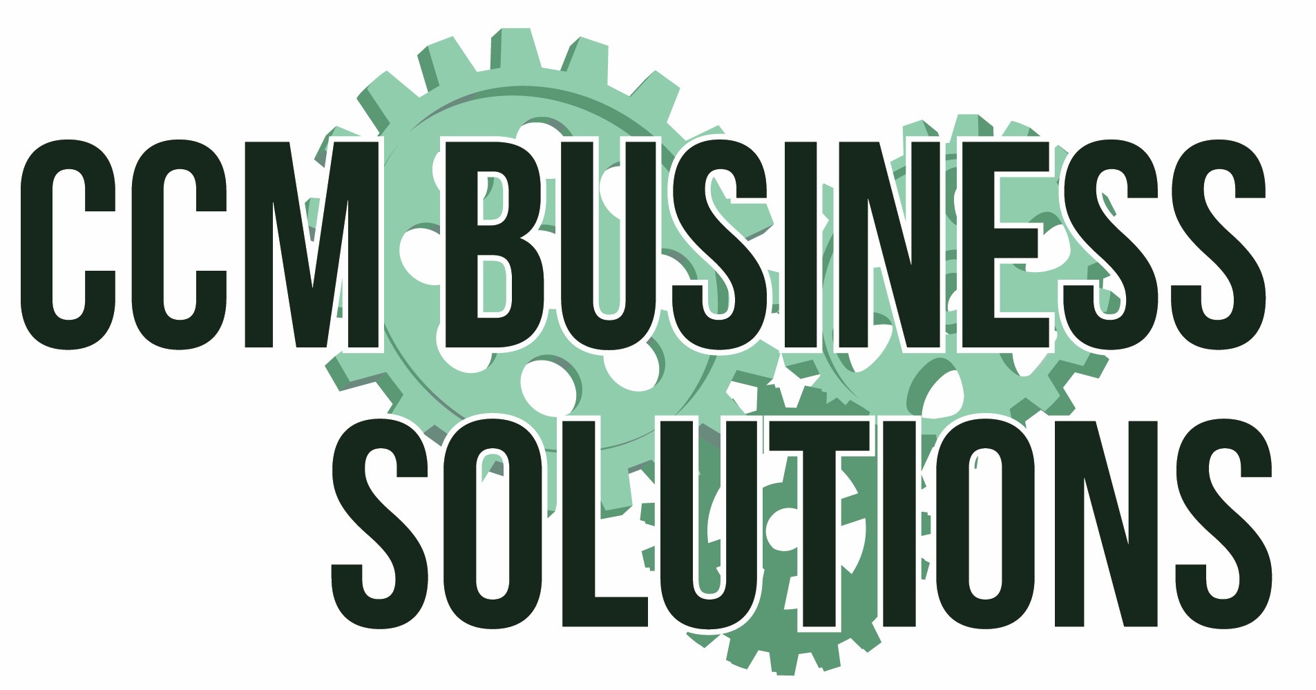 CCM Business Solutions